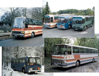 Busse Busse